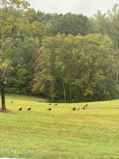 Tiny photo for 447 Walker Rd, Sharps Chapel, TN 37866 (MLS # 1343913)