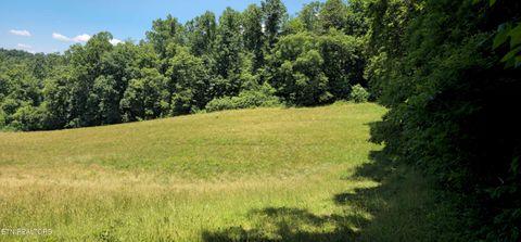 Tiny photo for 447 Walker Rd, Sharps Chapel, TN 37866 (MLS # 1343913)