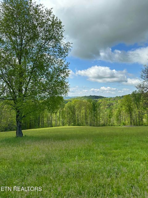 Tiny photo for 447 Walker Rd, Sharps Chapel, TN 37866 (MLS # 1343913)