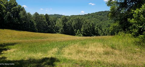 Tiny photo for 447 Walker Rd, Sharps Chapel, TN 37866 (MLS # 1343913)