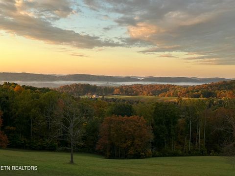 Tiny photo for 447 Walker Rd, Sharps Chapel, TN 37866 (MLS # 1343913)