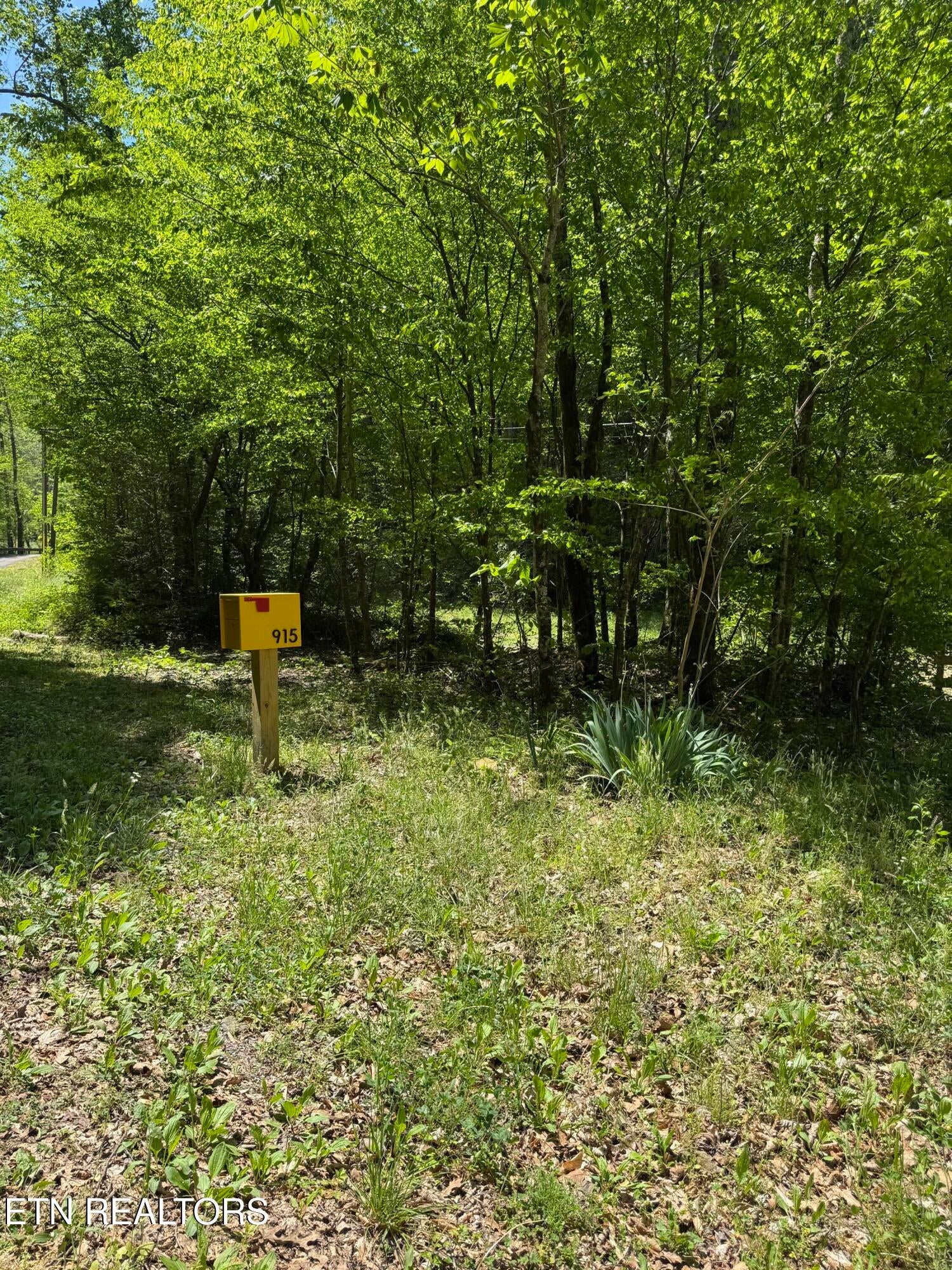 915 Chestnut Valley Rd