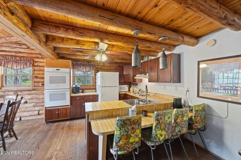 Tiny photo for 258 Marina Lane, LaFollette, TN 37766 (MLS # 1335949)