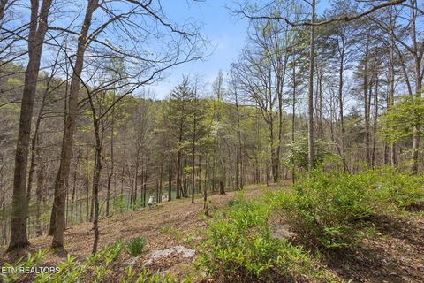 Tiny photo for 258 Marina Lane, LaFollette, TN 37766 (MLS # 1335949)