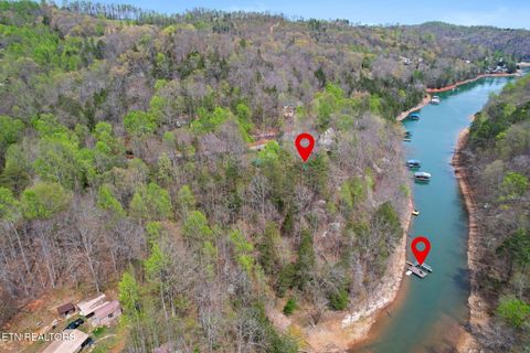 Tiny photo for 258 Marina Lane, LaFollette, TN 37766 (MLS # 1335949)