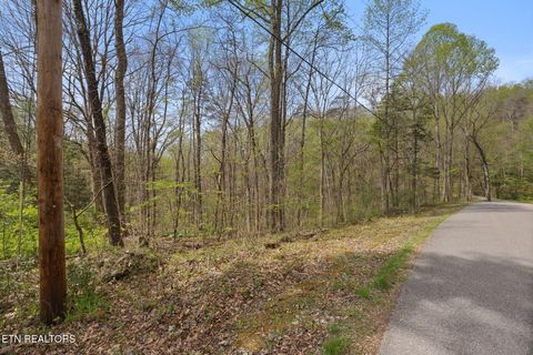 Tiny photo for 258 Marina Lane, LaFollette, TN 37766 (MLS # 1335949)