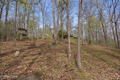 Tiny photo for 258 Marina Lane, LaFollette, TN 37766 (MLS # 1335949)