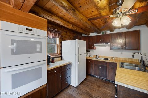 Tiny photo for 258 Marina Lane, LaFollette, TN 37766 (MLS # 1335949)