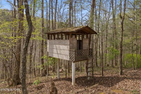 Tiny photo for 258 Marina Lane, LaFollette, TN 37766 (MLS # 1335949)