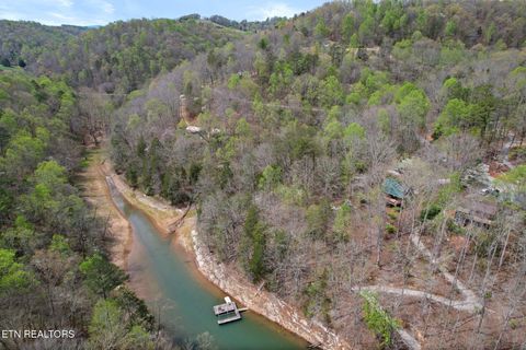 Tiny photo for 258 Marina Lane, LaFollette, TN 37766 (MLS # 1335949)