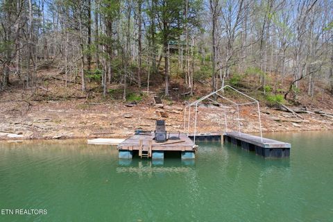 Tiny photo for 258 Marina Lane, LaFollette, TN 37766 (MLS # 1335949)