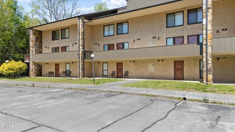 8023 W Old Highway 73 102 Townsend TN 37882