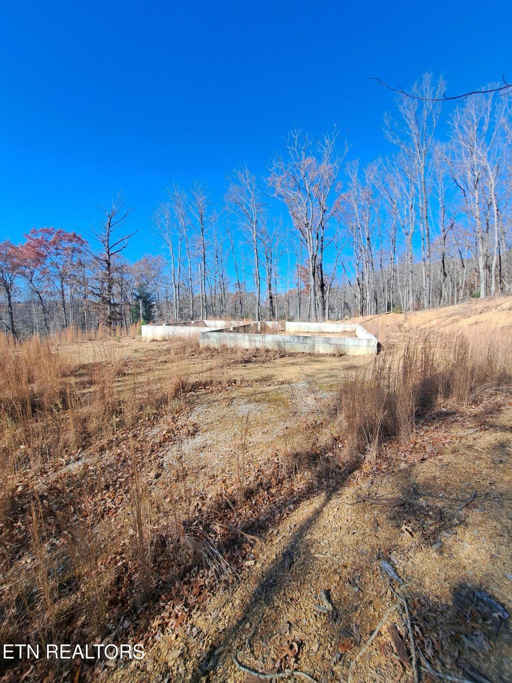 Photo of Evelyn Pvt Drive, Huntsville, TN 37756 (MLS # 1322105)