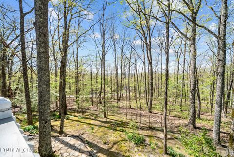 Tiny photo for 15 Quill Court, Crossville, TN 38558 (MLS # 1337791)