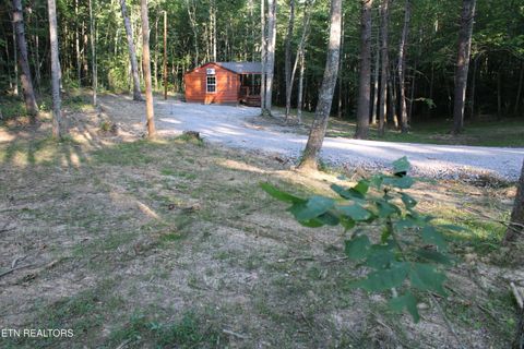 Tiny photo for 137 John Cox Rd, Deer Lodge, TN 37726 (MLS # 1336873)