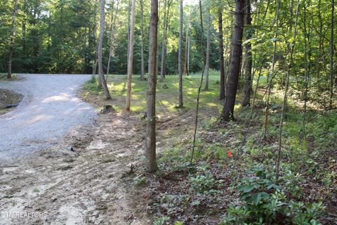 Tiny photo for 137 John Cox Rd, Deer Lodge, TN 37726 (MLS # 1336873)
