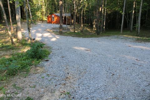 Tiny photo for 137 John Cox Rd, Deer Lodge, TN 37726 (MLS # 1336873)