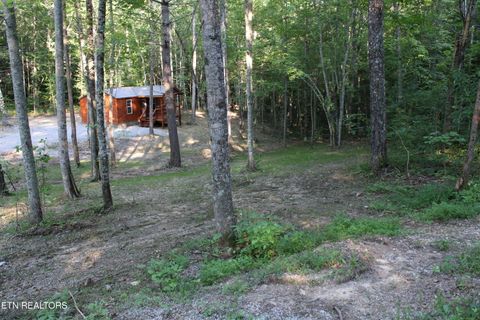 Tiny photo for 137 John Cox Rd, Deer Lodge, TN 37726 (MLS # 1336873)