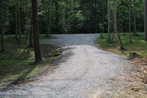 Tiny photo for 137 John Cox Rd, Deer Lodge, TN 37726 (MLS # 1336873)