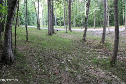 Tiny photo for 137 John Cox Rd, Deer Lodge, TN 37726 (MLS # 1336873)