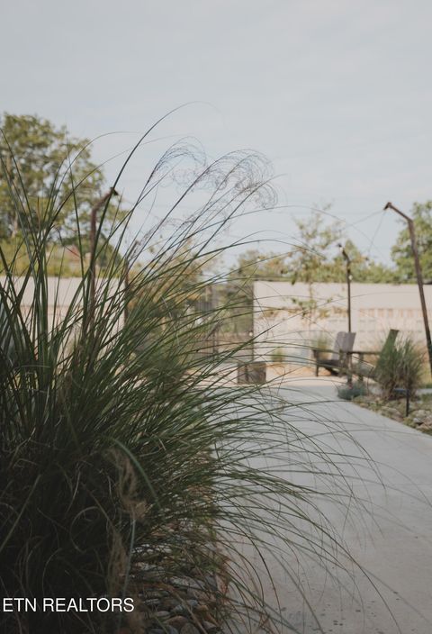 Tiny photo for 3415 N Broadway St #105, Knoxville, TN 37917 (MLS # 1333796)