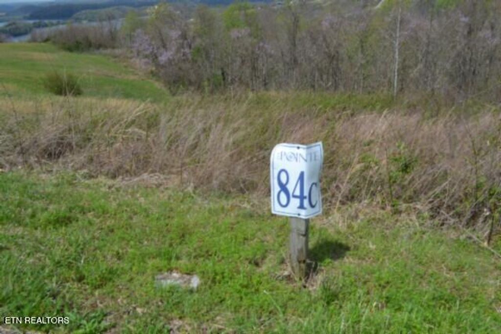 Photo of 84 Mallard Rd, Hilham, TN 38568 (MLS # 1335574)