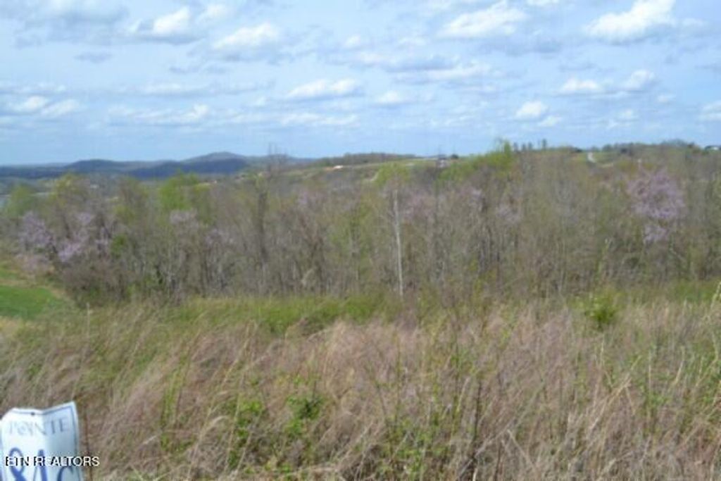 Photo of 84 Mallard Rd, Hilham, TN 38568 (MLS # 1335574)