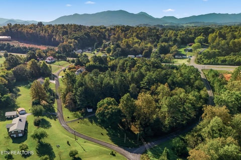 Tiny photo for 113 East Drive, Parrottsville, TN 37843 (MLS # 1359317)