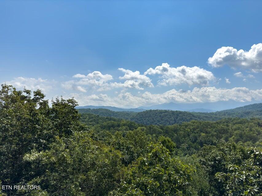 4528 Rocky Bluff Way