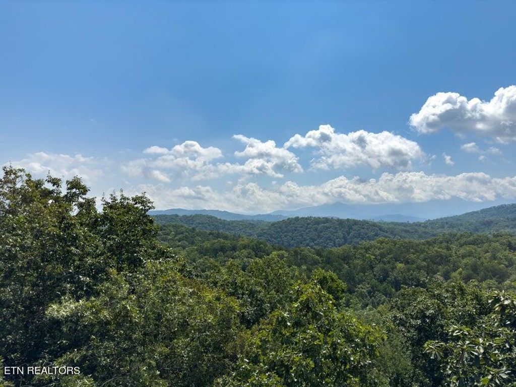 Photo of 4528 Rocky Bluff Way, Pigeon Forge, TN 37863 (MLS # 1274449)