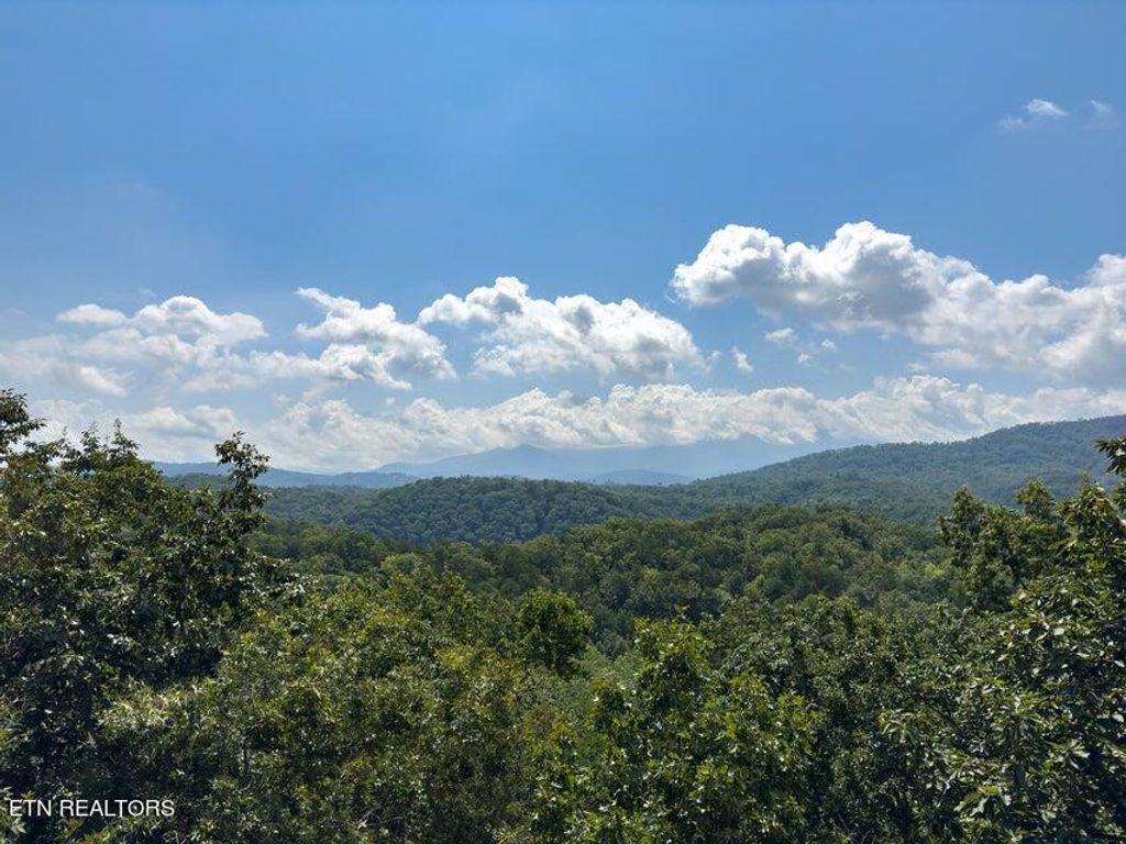 Photo of 4528 Rocky Bluff Way, Pigeon Forge, TN 37863 (MLS # 1274449)