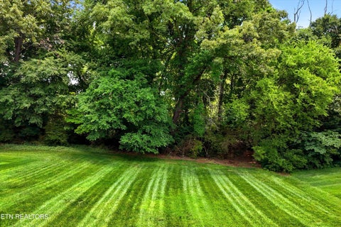 Tiny photo for 928 Blackstone Drive, Knoxville, TN 37934 (MLS # 1342674)