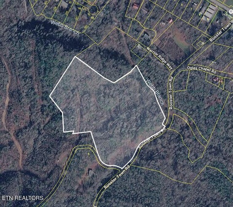 Photo of Rooster Town Rd, Cosby, TN 37722 (MLS # 1359585)