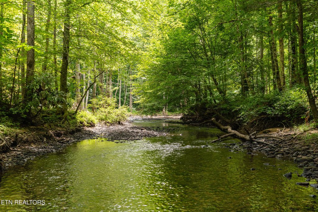 Photo of 192 Steel Tram Ridge Lane, Crawford, TN 38554 (MLS # 1325193)