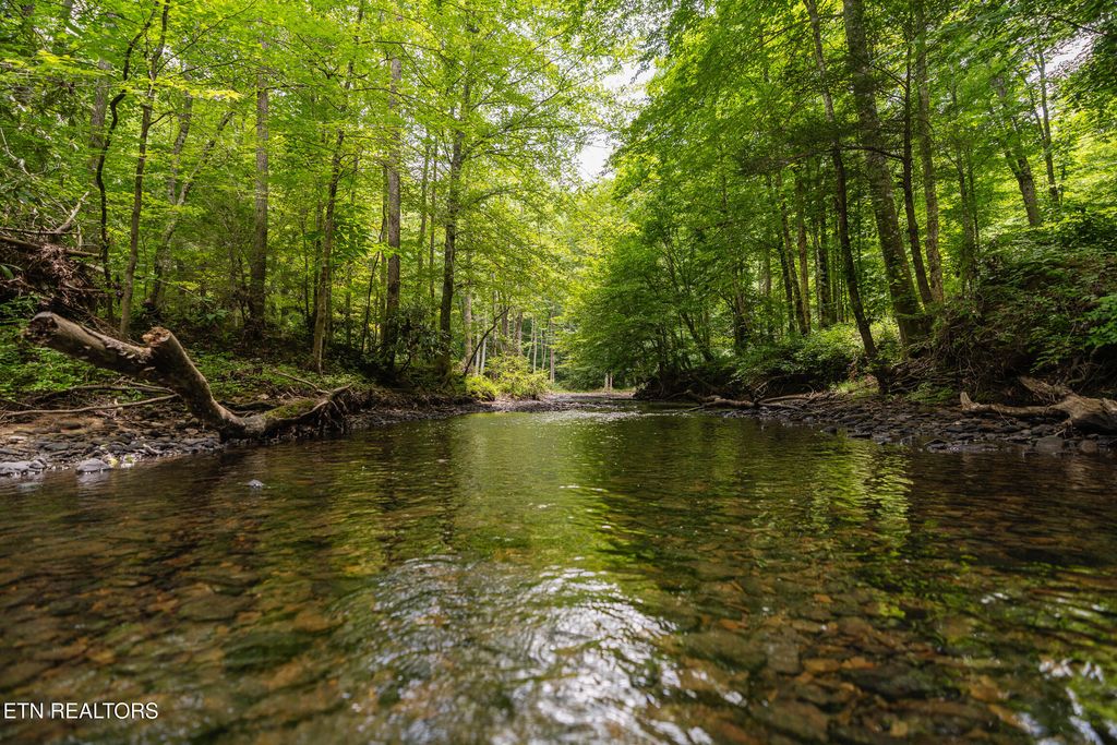 Photo of 192 Steel Tram Ridge Lane, Crawford, TN 38554 (MLS # 1325193)