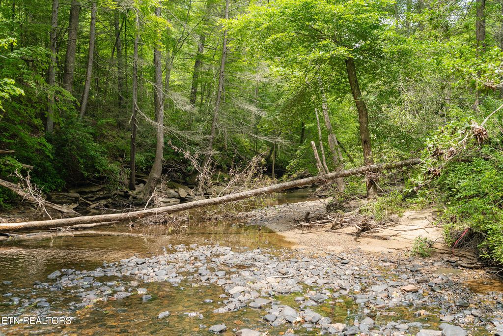 Photo of 192 Steel Tram Ridge Lane, Crawford, TN 38554 (MLS # 1325193)