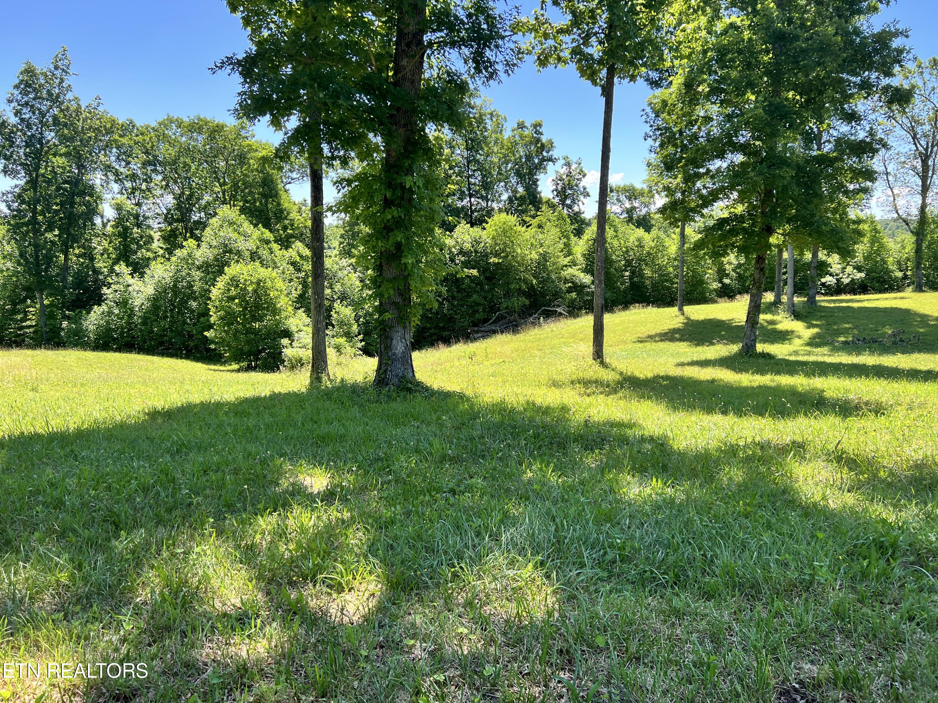 Photo 1 of 2 — Lot 20 Bluff View Loop, Crossville, TN 38571