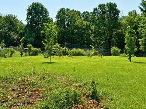 Tiny photo for 10106 Spring Creek Rd, Cookeville, TN 38506 (MLS # 1358410)