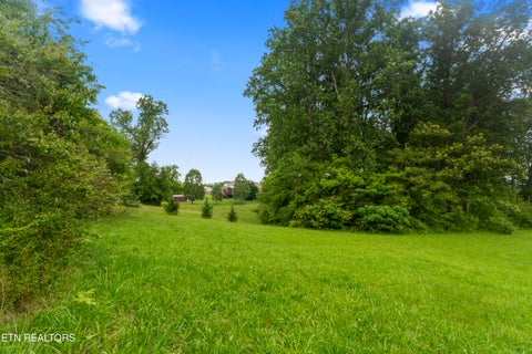 Tiny photo for 1157 Houston Springs Rd, Greenback, TN 37742 (MLS # 1301529)