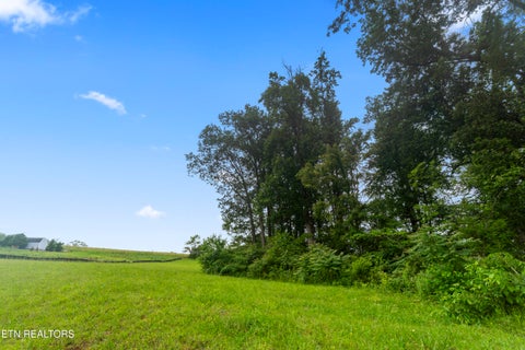 Tiny photo for 1157 Houston Springs Rd, Greenback, TN 37742 (MLS # 1301529)