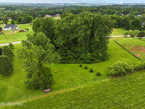 Tiny photo for 1157 Houston Springs Rd, Greenback, TN 37742 (MLS # 1301529)