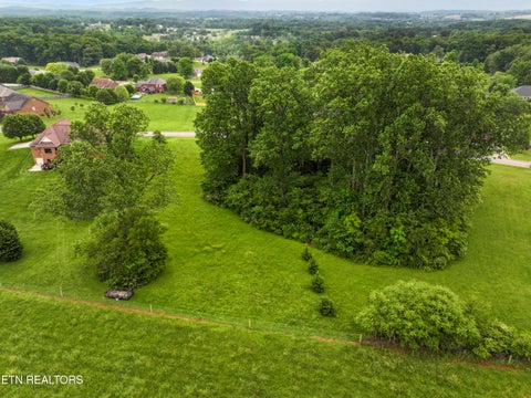 Tiny photo for 1157 Houston Springs Rd, Greenback, TN 37742 (MLS # 1301529)