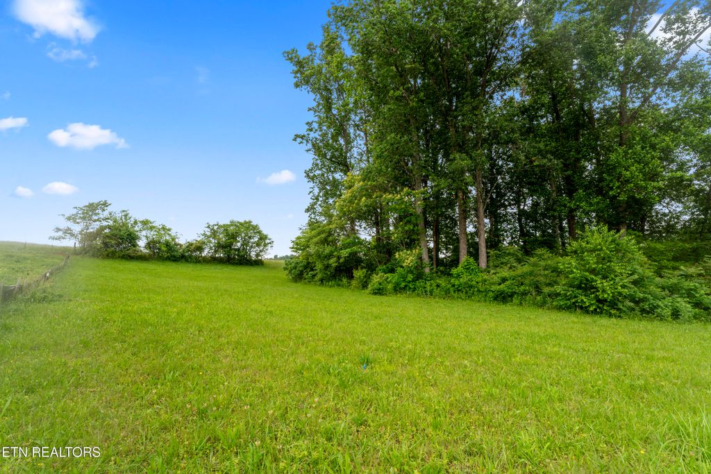 Photo of 1157 Houston Springs Rd, Greenback, TN 37742 (MLS # 1301529)