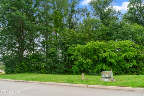 Tiny photo for 1157 Houston Springs Rd, Greenback, TN 37742 (MLS # 1301529)