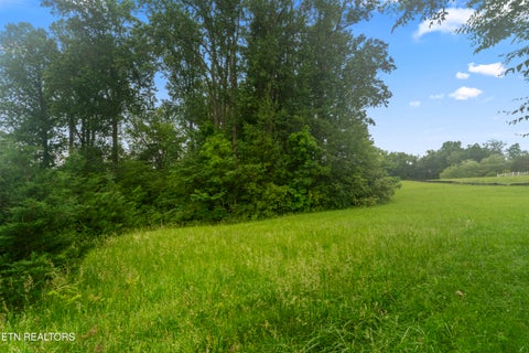 Tiny photo for 1157 Houston Springs Rd, Greenback, TN 37742 (MLS # 1301529)