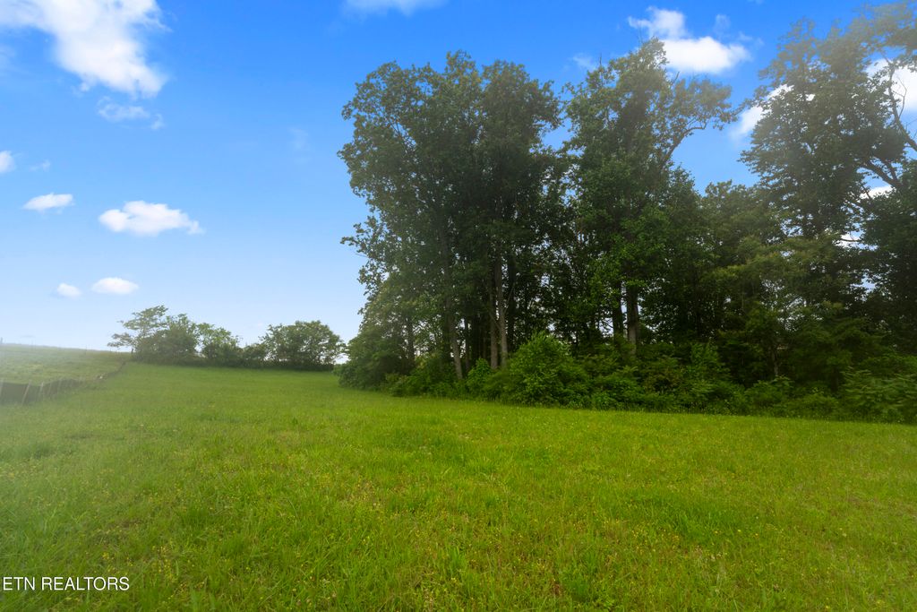 Photo of 1157 Houston Springs Rd, Greenback, TN 37742 (MLS # 1301529)