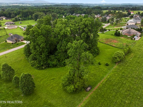 Tiny photo for 1157 Houston Springs Rd, Greenback, TN 37742 (MLS # 1301529)