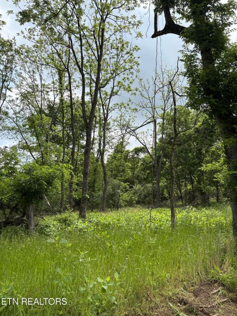 Photo of 0 Grubb Rd, Lenoir City, TN 37771 (MLS # 1342882)