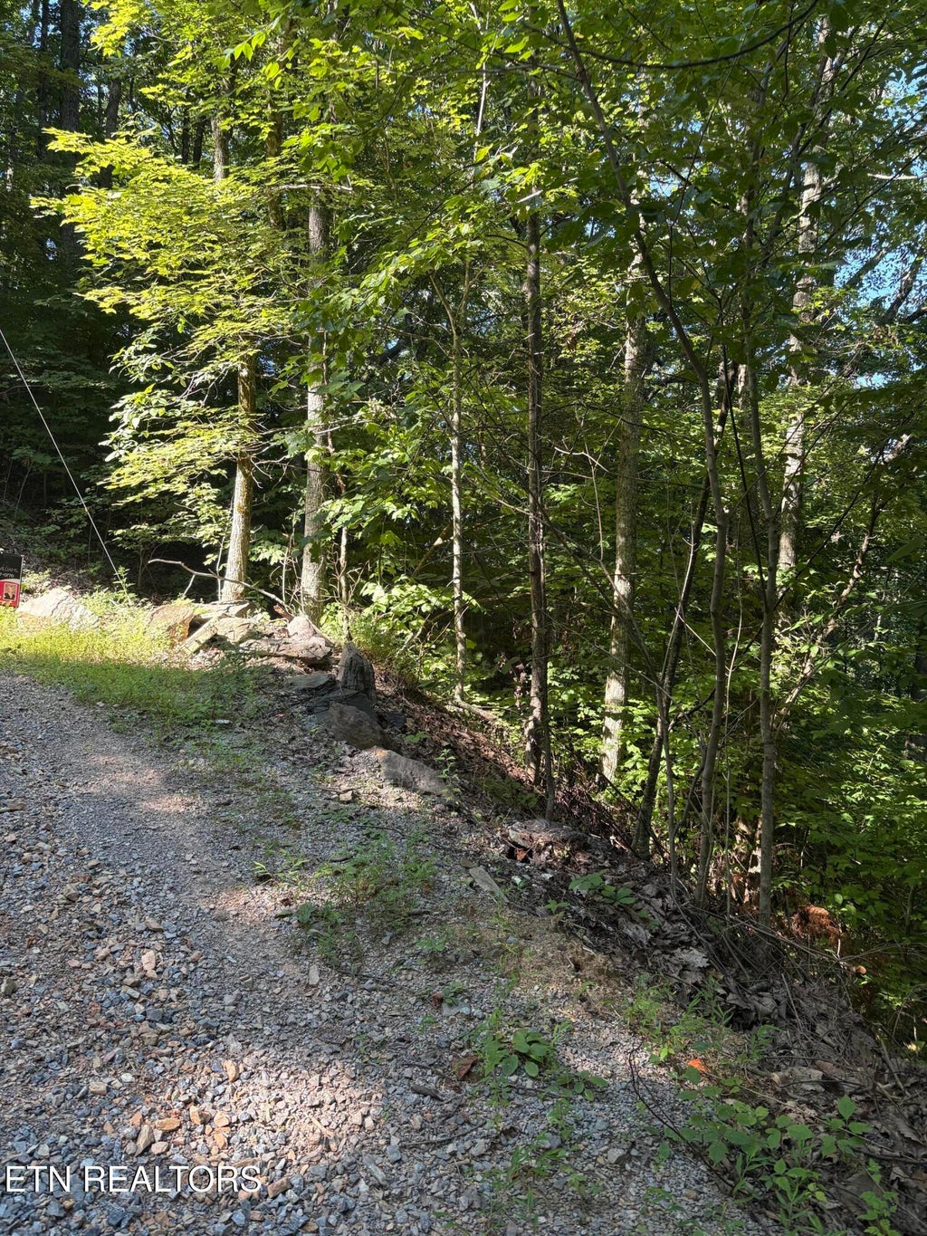 Photo of 0 Castle Rise Way, Sevierville, TN 37862 (MLS # 1355156)