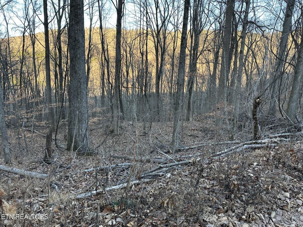 Photo of 00 Stone Ridge Road, Pikeville, TN 37367 (MLS # 1326169)